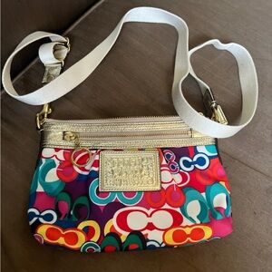 Colorful Crossbody Bag with Gold Details